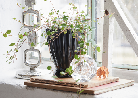 Schwarzer Blumentopf mit grüner Zimmerpflanze – modernes, minimalistisches Design für stilvolle Wohn- oder Büroeinrichtung - von Lene Bjerre