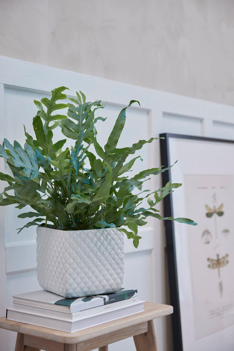 Blumentöpfe - Wohnkultur mit natürlicher Note - Lene Bjerre Design