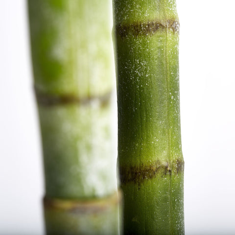 Flora H185 cm. grün