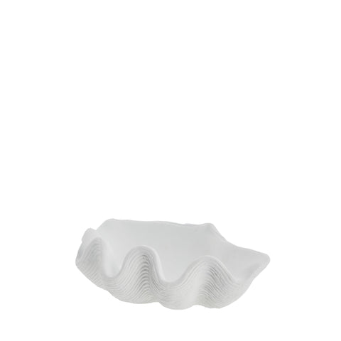 Shella Muschelschale W18,5 cm. weiss