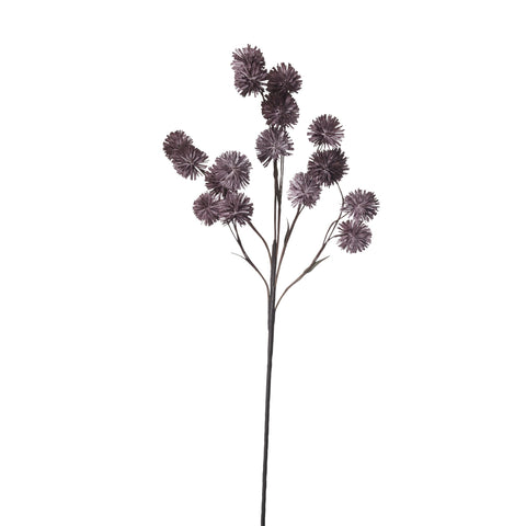 Happia Schaumblume 90 cm rose