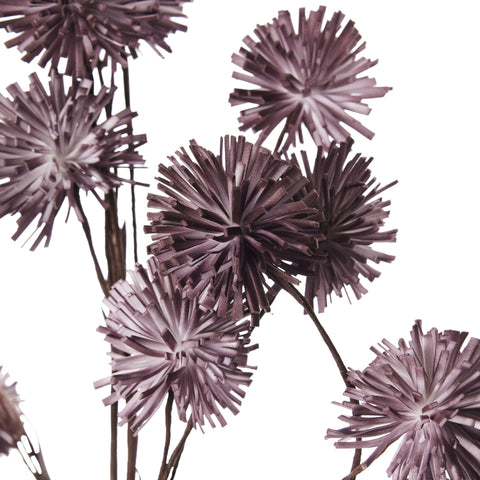 Happia Schaumblume 90 cm rose