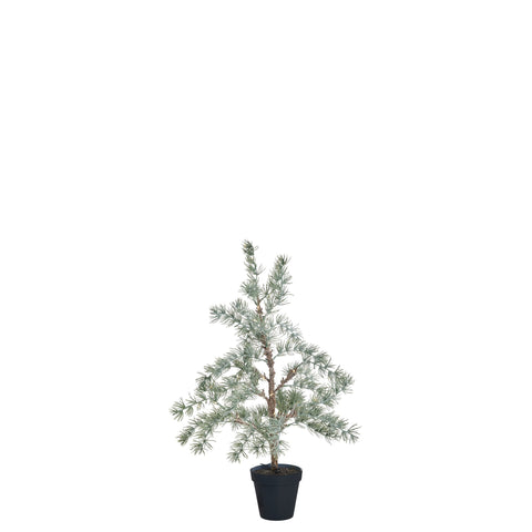 Cedille Baum H60 cm. grün