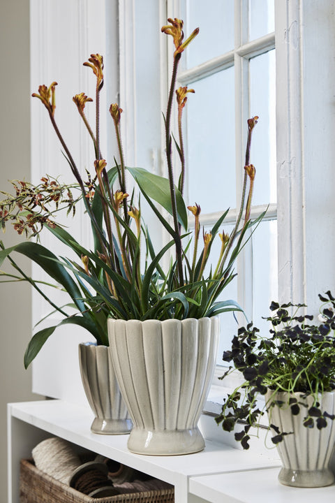 Shenella Topf 20 cm. leinen