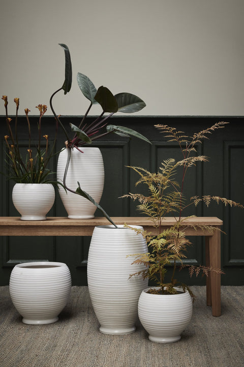 Catharinia Topf 25 cm. gebrochenes weiss