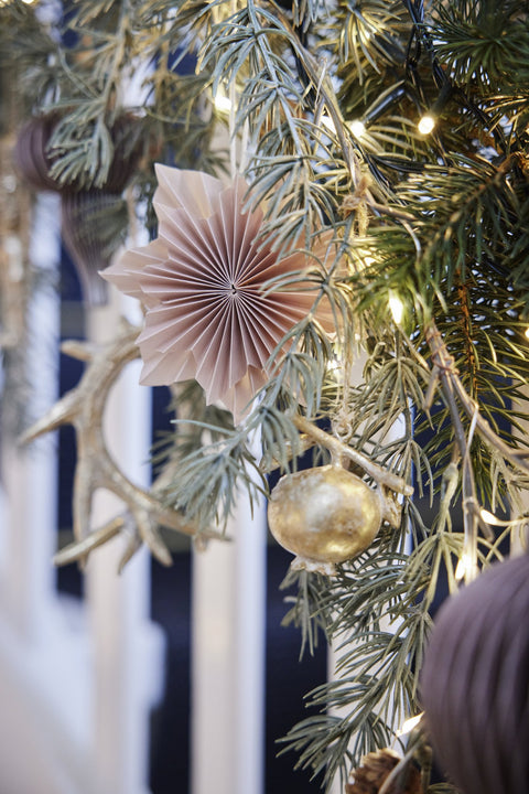 Palisia ornament H cm. pudderrosa