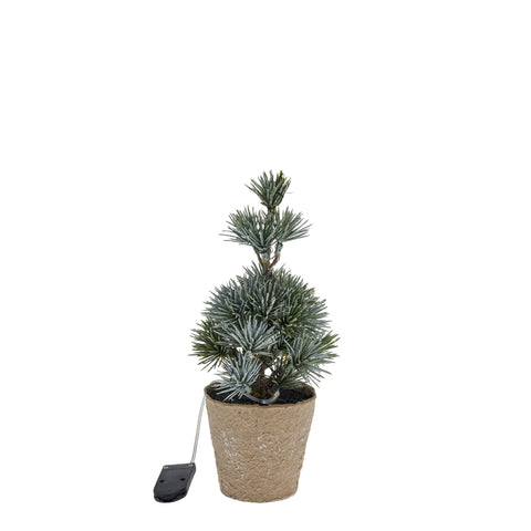 Cedille Baum H22 cm. grün