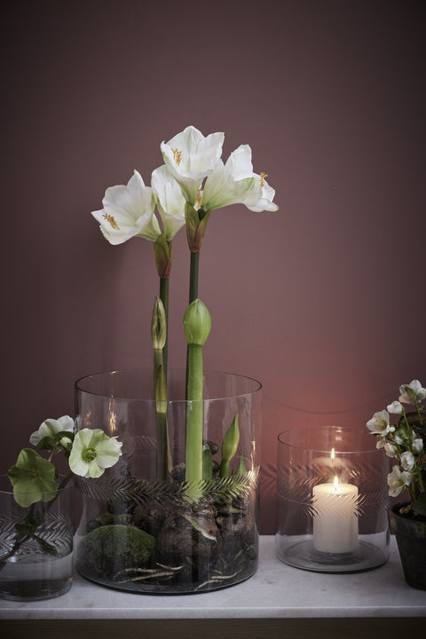 Carla Vase H30 cm. transparent