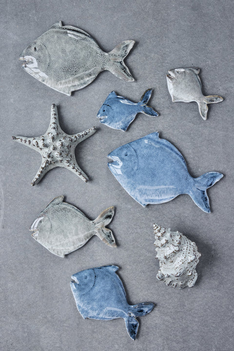 Shellille Dekoration 16.5x16.5x5.5 cm.