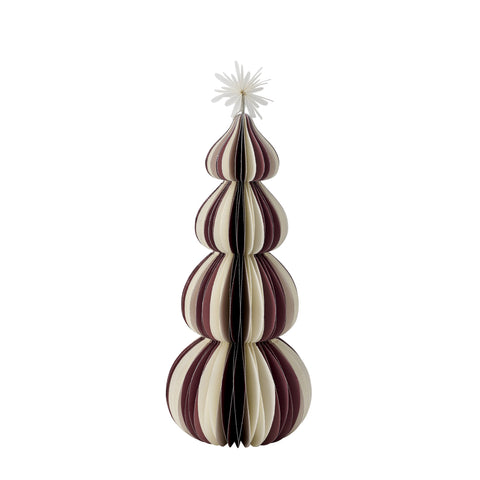 Paulinia Baum xx25 cm.