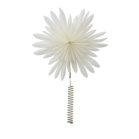 Palisia Baumspitze-Stern 25x25x30 cm.