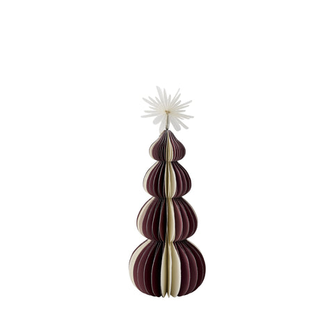 Paulinia Baum xx15 cm.