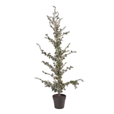 Cemira Baum 80x80x150 cm.