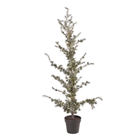 Cemira Baum 80x80x150 cm.