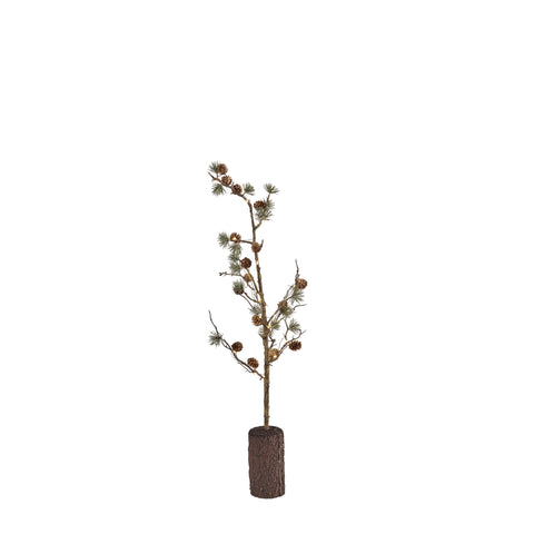 Cedine Baum 25x25x65 cm.
