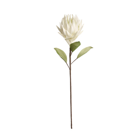 Happia Blume 77x16x16 cm.