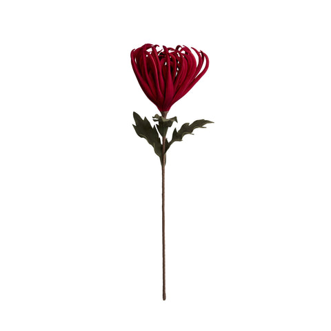 Happia Blume 68x32x32 cm.