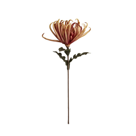 Happia Blume 68x32x32 cm.