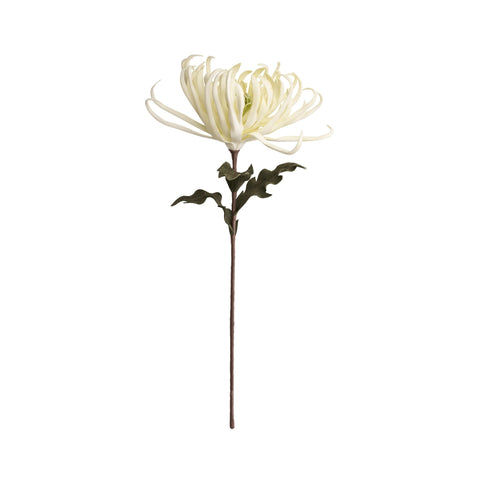 Happia Blume 68x32x32 cm.