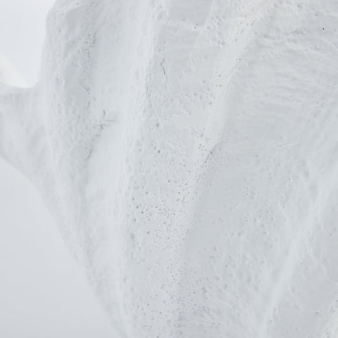 Shella Dekoration H23 cm. weiss