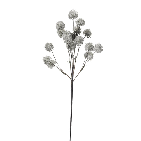 Happia Schaumblume 90 cm grau