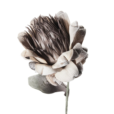 Happia Schaumblume 77 cm leinen