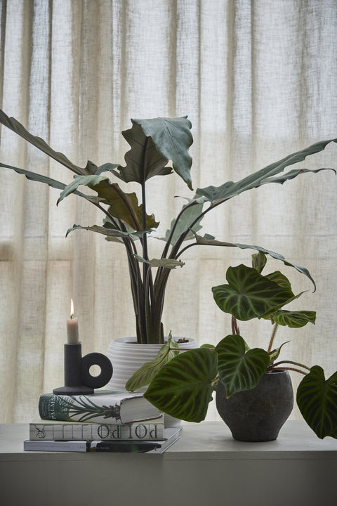 Catharinia Topf 16,5 cm. gebrochenes weiss