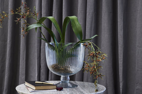 Carla Vase H20 cm. transparent