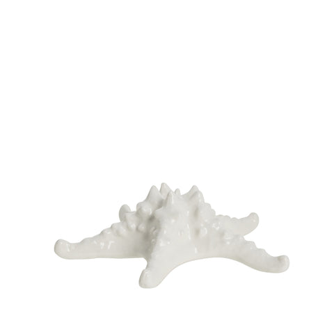 Shellille Dekoration 16.5x16.5x5.5 cm.