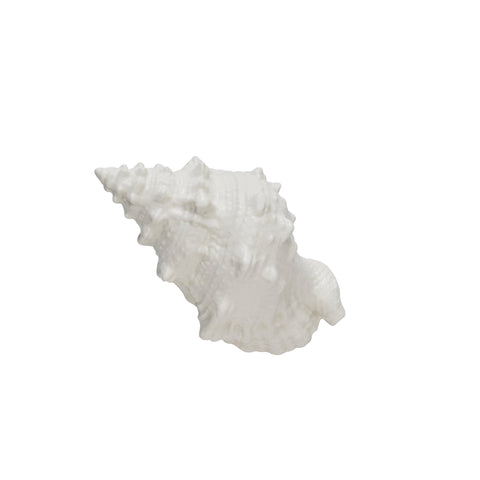 Shellille Dekoration 18x11.5x9.5 cm.