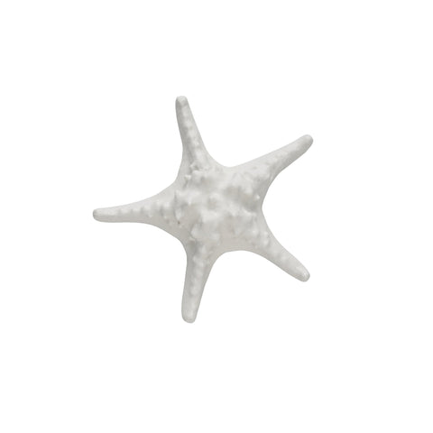 Shellille Dekoration 16.5x16.5x5.5 cm.