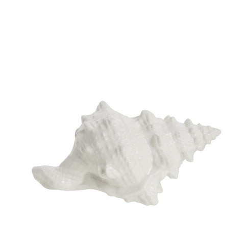 Shellille Dekoration 18x11.5x9.5 cm.