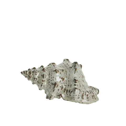 Shellille-Dekoration Konkylie D15 H7,5 Leinen