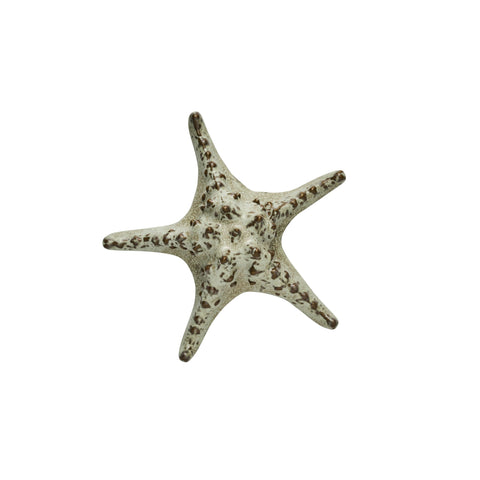 Shellille Dekoration 16.5x16.5x5.5 cm.