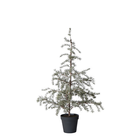 Cedille Baum H120 cm. grün