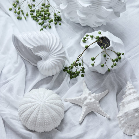Shellille-Kerzenständer Muschel, H6 cm, Weiß