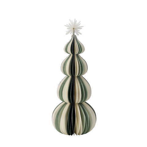 Paulinia Baum xx25 cm.