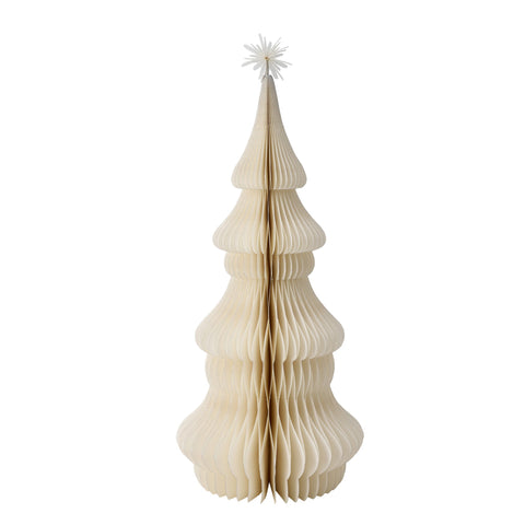 Paulia Baum xx40 cm.