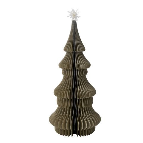Paulia Baum xx40 cm.