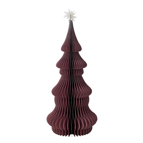 Paulia Baum xx40 cm.