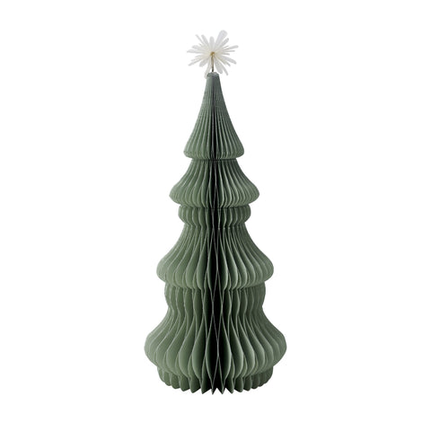 Paulia Baum xx30 cm.