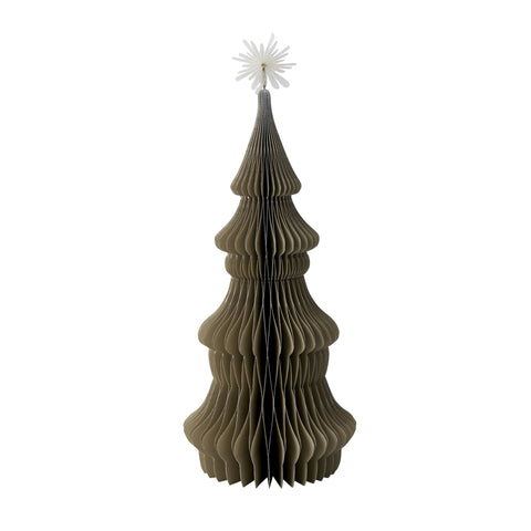 Paulia Baum xx30 cm.