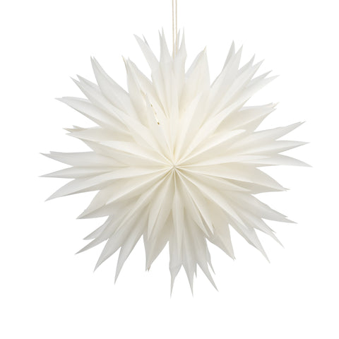 Palisia Stern 40xx40 cm.