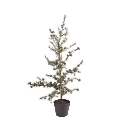 Cemira Baum 50x50x95 cm.