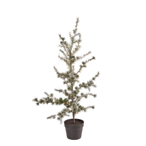 Cemira Baum 50x50x95 cm.