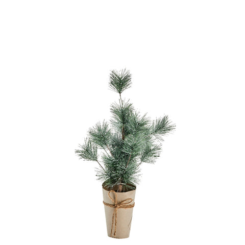 Pinea Baum H57 cm. grün