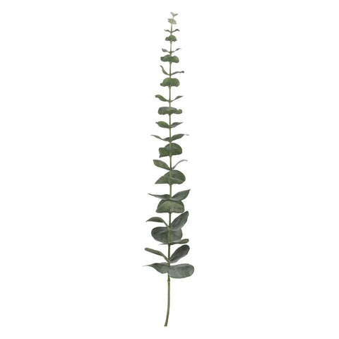 Flora Eukalyptus H64 cm. puddergrün