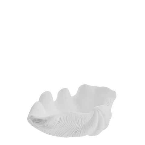 Shella Muschelschale W21 cm. weiss