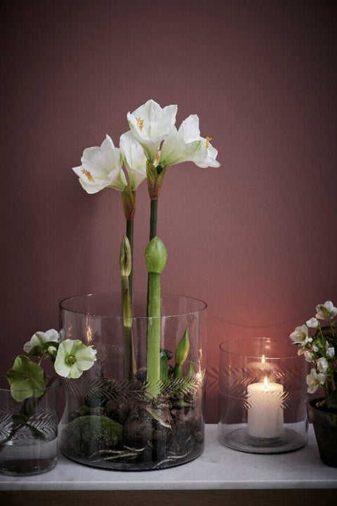 Carla Vase H13 cm. transparent
